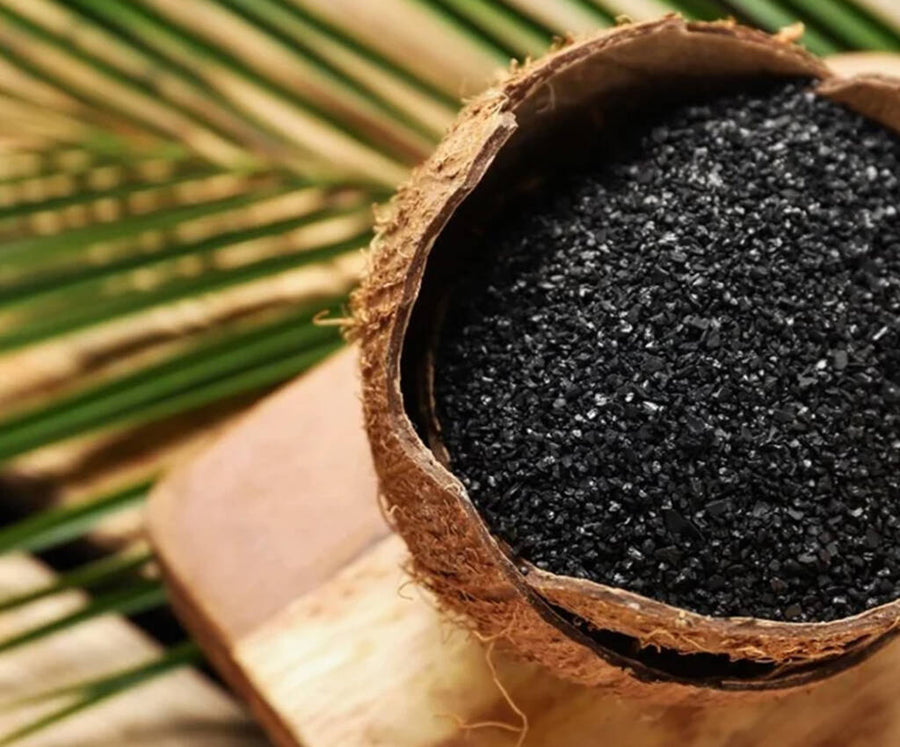 Charbon de coquille de noix de coco